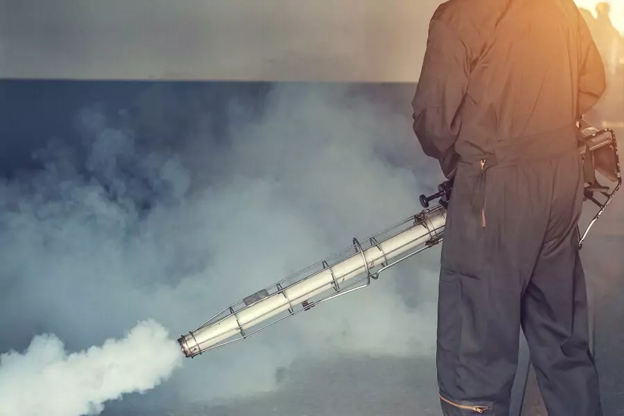 Pest Control Dandenong
