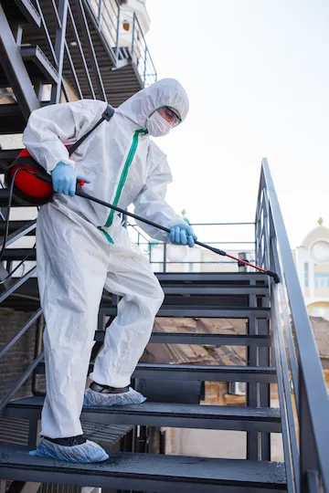 PEST CONTROL DANDENONG