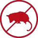 Possum Control Service in Dandenong