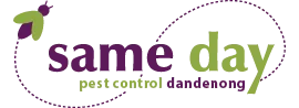 same day duct cleaning sunbury logo